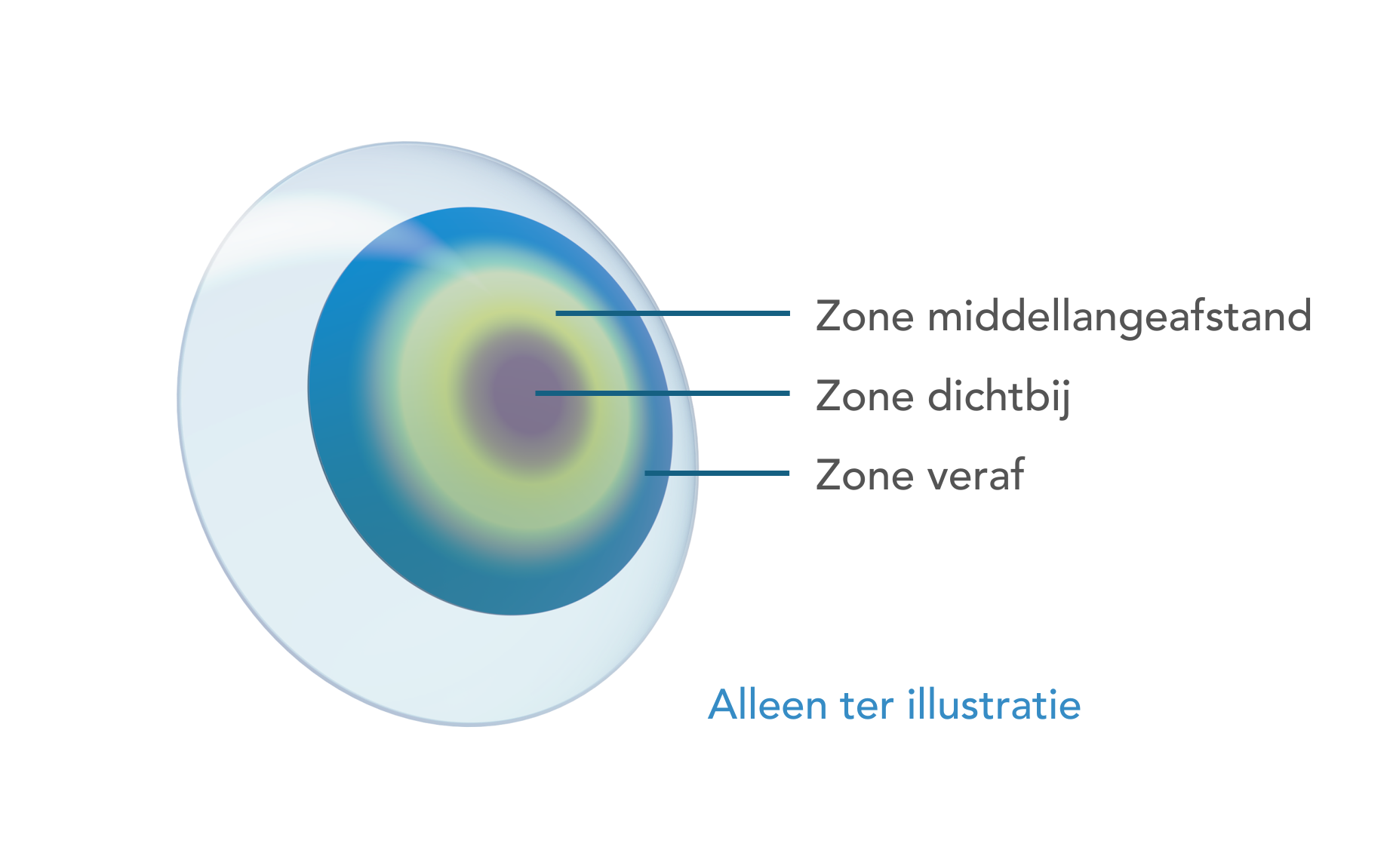 Miru 1day Flat Pack MF